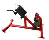Fitness Equipment/Hammer Strength/Gym Machine /Back Extension (SH11)