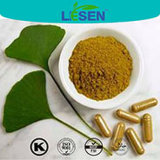 Gingko Biloba Extract 24/6 Specification Gingko Biloba Leaf Powder