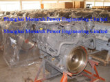 Deutz Diesel Engine (Deutz BF6M1015 BF6M1015C BF6M1015CP)