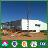 Prefabricated Steel Workshop Building (XGZ-SSB132)