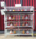 Cold Galvanized Baby Chick Cage Equipment for Chicken House