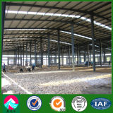 Prefabricated Light Steel Structure Workshop Building for Sale (XGZ-SSW024)