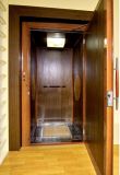 Oria Mordenized Home Resident Home Villa Elevator (V--4)