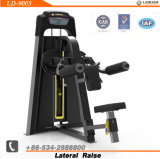 Lateral Raise / Gym Equipment / Fitness Equipment