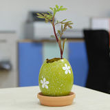 1.8 Inch Color Plant Egg (004011-3) 