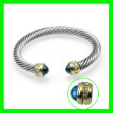 2012 New Model Cable Bracelet Jewellery (TPSBE242)