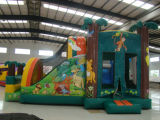 Inflatable Bouncer& Slide (AQ169)