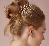 Fashion Jewelry Beautiful Crystal Bridal Hair Accessories (FS2101)