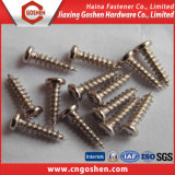 Stainless Steel Electronic Screws (M1-M6)