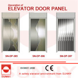 St. St Etching Door Panel for Elevator Cabin Decoration (SN-DP-385)
