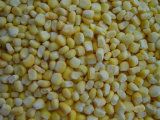 Frozen Sweet Corn Kernel/Frozen Food