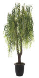 0006 Willow Tree ----Hot Selling---- SGS Standard