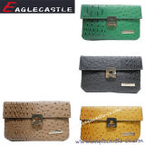 New Style Fashion Ladies Wallet (CX13777A)