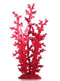 Coral Shape Statue for Home or Hotel Decoration/ Figurine/ Coral Shape Figurine