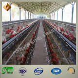 Modern and Fast Construction Steel Structure Poultry Farm