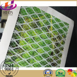 Hengfang Brand PE Anti Bird Insect Bird Net