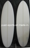 Surfboard with Clear Surface Egg Board