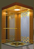 Germmany Technology Passenger Elevator with Luxury Cabin Tkj