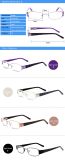 Jc6606 2015 New Fashion Metal Optical Frame, Spectacles Frame, Eyeglasses, Eyewear