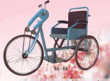Adult Tricycle