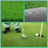 Golf Sport Artificial Turf (MHQD-C10R31PM)