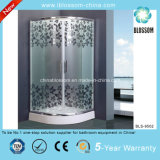 Acid Glass Simple Shower Room Shower Enclosure with CE (BLS-9502)