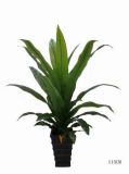 Artificial Plants and Flowers of Dracaena 32lvs Pure Green