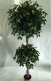 Artificial Plants and Flowers of Ficus 1248lvs 180cm