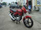 CB Engine Motorcycle Jd125-7b
