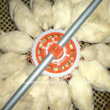 Automatic Poultry Feeding Equipment for Breeder Chicken