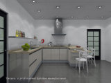 China Manufacturer Lacquer Kitchen Furniture (S025)