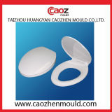 High Quality Plastic /Flush Toilet Cover Mould
