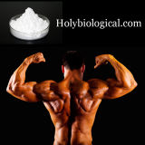 Gain Weight Injectable Steroid Powder Testosterone Decanoate