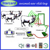 Livestock ID Management RFID Male Tag Female Tag