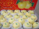 Delicious Fresh Golden Apple Supplier From Shandong Boren