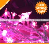 LED String Light/ Christmas String/LED Holiday Light