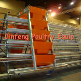 Automatic Poultry Equipment