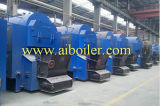 Dzl Automatic Coal Boiler with Chain Grate Stoker for Sale