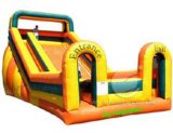 Inflatable Slide (T3-123)