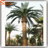 Competitive Price Ornament Artificial Plastic Date Palm Tree