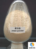 Yeast Powder 40%, 45%, 50%, 55%, 