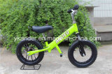 Green Color Push Bike/Kid Bike (AKB-1226)