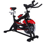 Professional Manufactory Fitness Spin Bike (S2000BR)
