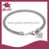 Fashion Stainless Steel Bangle (2015 Stbl-070)