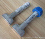 Stainless Steel T Head Bolt with Nut