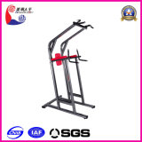 Leg Raise Body Building, Sports Equipment (LK-9031)