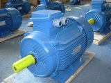 Y2 Electric / Induction Motor