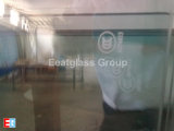 Insulated Glass (EGHG001)