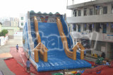 Giant Inflatable Double Lane Slip Slide