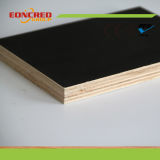 High Quality 12mm Marine Plywood (Black /Brown/Logo Film)